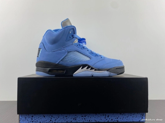 Rep 5 UNC DV1310-401 Air Jordan 0701